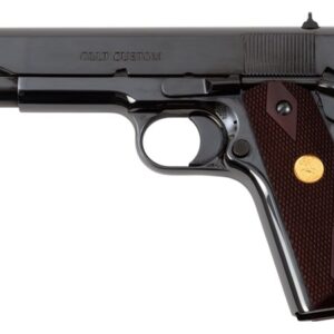 Government Classic 45 ACP