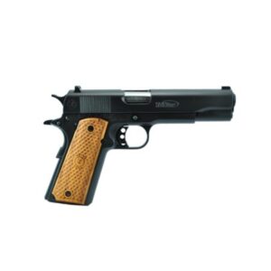 Government II 38 Super