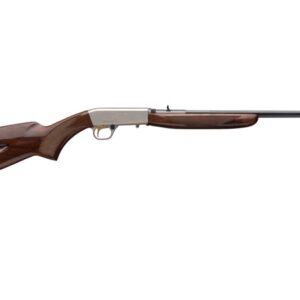 Semi-Auto 22 22 LR