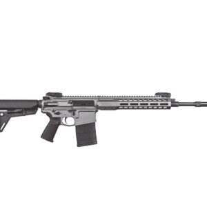 REC10 Carbine 308 Win