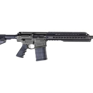 CA-10 DMR 308 Win
