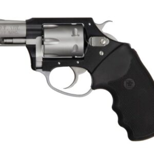 Pathfinder 22 Magnum