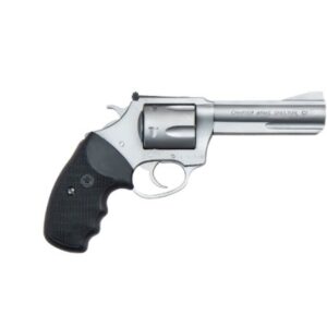 The PROFESSIONAL VI 357 Magnum