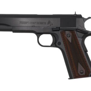 Government Classic 45 ACP