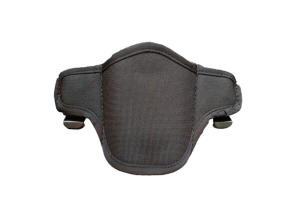 HD Holster