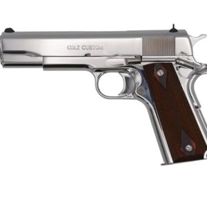 Government 45 ACP