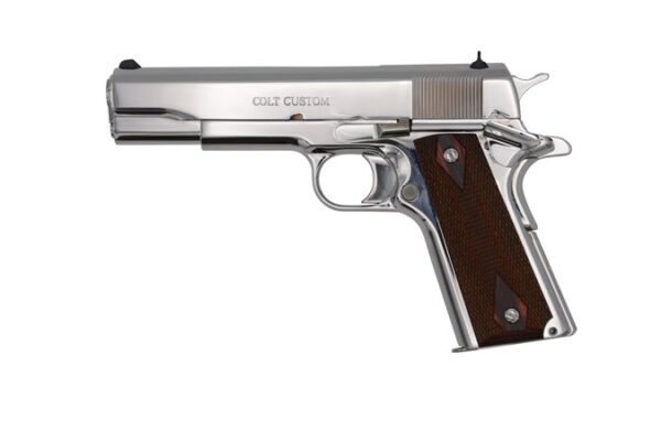 Government 45 ACP