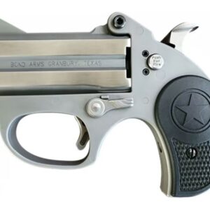 Stinger Rough Stainless 380 ACP